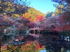 -醍醐寺