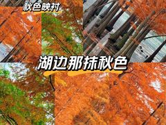 -白鹭湾湿地公园