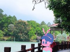 -广州白江湖森林公园