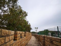 -东山风动石景区