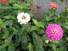 -水乡人家私房菜(逢简店)