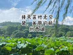 -杭州君悦酒店·湖滨28中餐厅