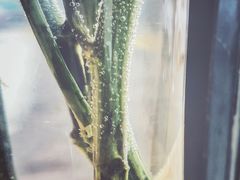 大堂-VOYAGE COFFEE(北锣鼓巷店)