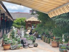 -山菌美食苑(振兴路店)