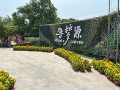 -上海杨姆庄园