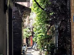 -小洲村