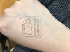 -圣淘沙天际线斜坡滑车
