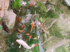 -聚缘堂·海鲜私房菜(松岭路店)