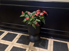 -涟LIAN·泰式按摩·MASSAGE·SPA(深业上城店)