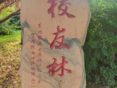 -东北农业大学