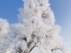 -雾凇岛