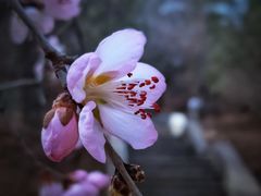 -香山公园