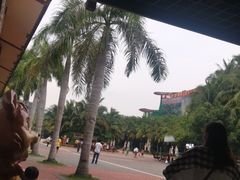 -呀诺达热带雨林