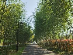 -苏州环秀晓筑养生度假村