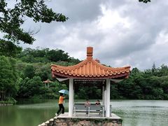 -深圳仙湖植物园