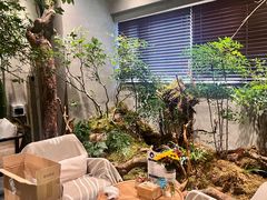 -森SPA·泰式按摩·精油Massage(宝安中心店)