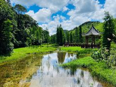 -广州市石门国家森林公园