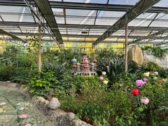 -南宫五洲植物乐园