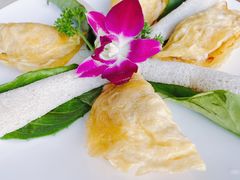 -墨脱石锅椰子鸡•香草鸭•东山羊(大东海店)