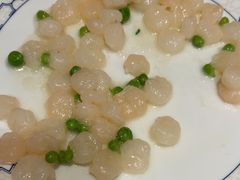 -新吉士·上海菜(浦东LCM置汇旭辉店)