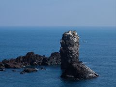 -涉地可支