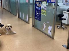 -宠颐生中康贝怡动物医院