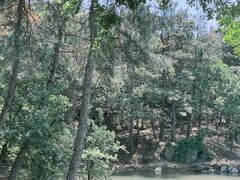 -南京市无想山景区