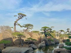 -罗红摄影艺术馆