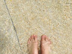 -重庆海昌加勒比海水世界