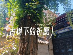 -湘子庙