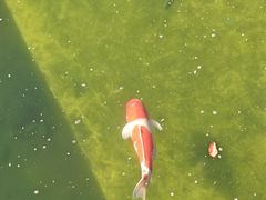 -香麒园·过桥米线·南湖雅宴