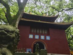-普陀山风景名胜区-法雨禅寺