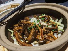 响油鳝丝-肆月河豚·淮扬菜·湘菜(华天店)