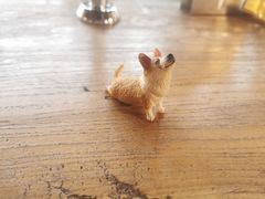 -VOYAGE COFFEE(北锣鼓巷店)