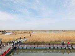 -宁波杭州湾国家湿地公园
