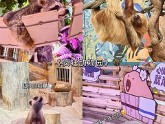 -正佳雨林生态植物园