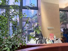 -墨纪Mojí墨西哥餐厅(官舍店)