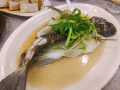 姜葱蒸水库瘦身鲩鱼-粤·向群饭店(龙津东路总店)