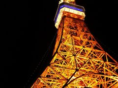 -东京塔海贼王主题公园