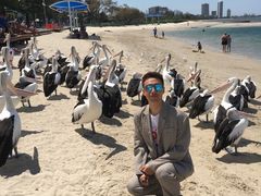 -黄金海岸