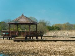 -梁鸿国家湿地公园