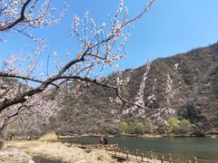 -白河湾生态旅游一条川