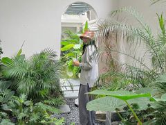 -漫笙舍Manse·咖啡·民宿