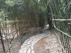 -竹子庵公园
