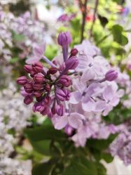 -今日陶艺(富力广场店)