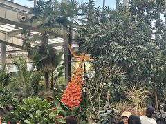 -沈阳植物园