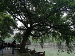 -成都市活水公园