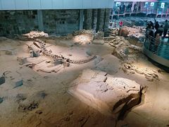 -自贡恐龙博物馆