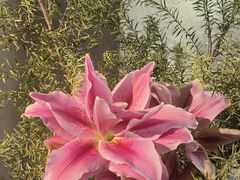-菩提书坊(侨福大厦店)