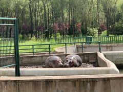 -哈尔滨北方森林动物园
